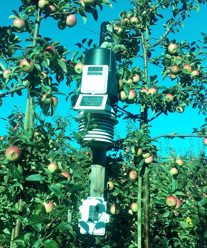 Orchard in Skåne with weather station